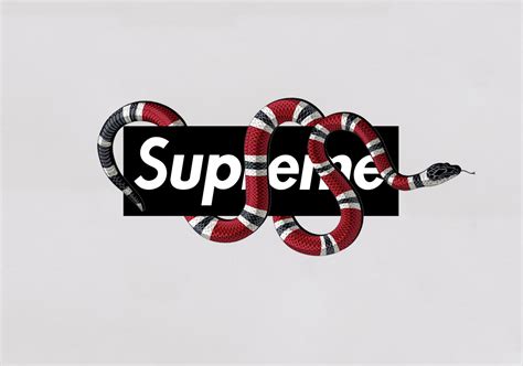 this is not supreme t shirt x gucci